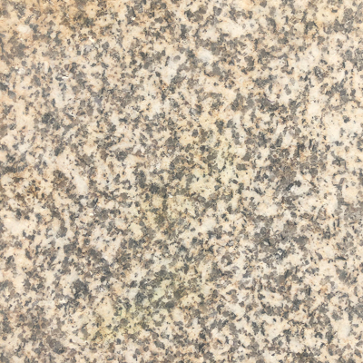 Amarelo Real Granite - Honed