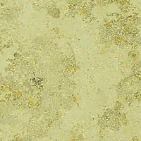 Dietfurt Beige Limestone - Honed