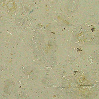 Dietfurt Beige Limestone - Honed - Rough