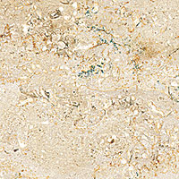 Dietfurt Beige Limestone - Vein Cut - Honed