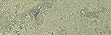 Dietfurt Grey / Blue Limestone - Honed