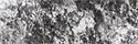 Kilkenny Blue Limestone - Crust